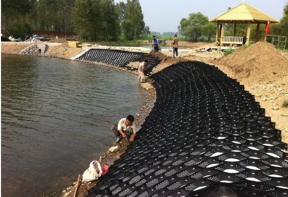 ·����������